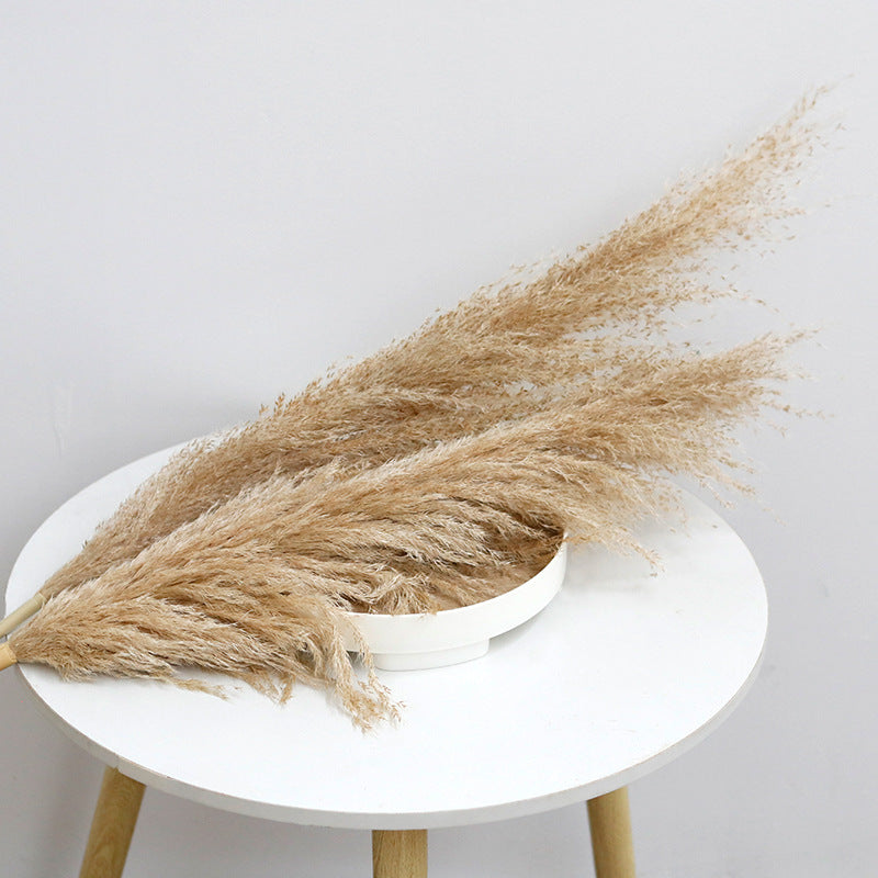 Bulk Dried Reed Flower Bouquet for Nordic Wedding Decor