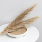Bulk Dried Reed Flower Bouquet for Nordic Wedding Decor
