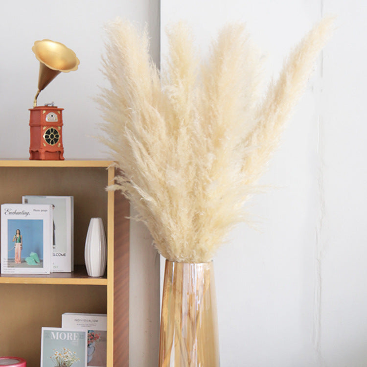 Bulk Dried Reed Flower Bouquet for Nordic Wedding Decor